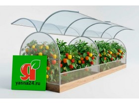Теплица-парник Перчик 4Ц Теплица-парник Перчик 4Ц