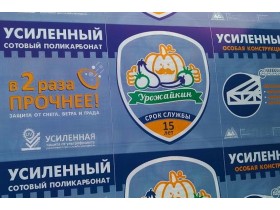 Сотовый поликарбонат 4мм "Урожайкин" Усиленный 2,1х3 | 2,1х6