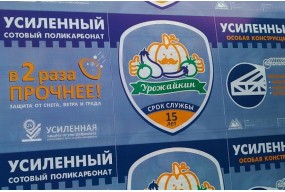Сотовый поликарбонат 4мм "Урожайкин" Усиленный Сотовый поликарбонат 4мм "Урожайкин" Усиленный