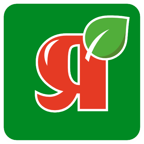 ЯСНА